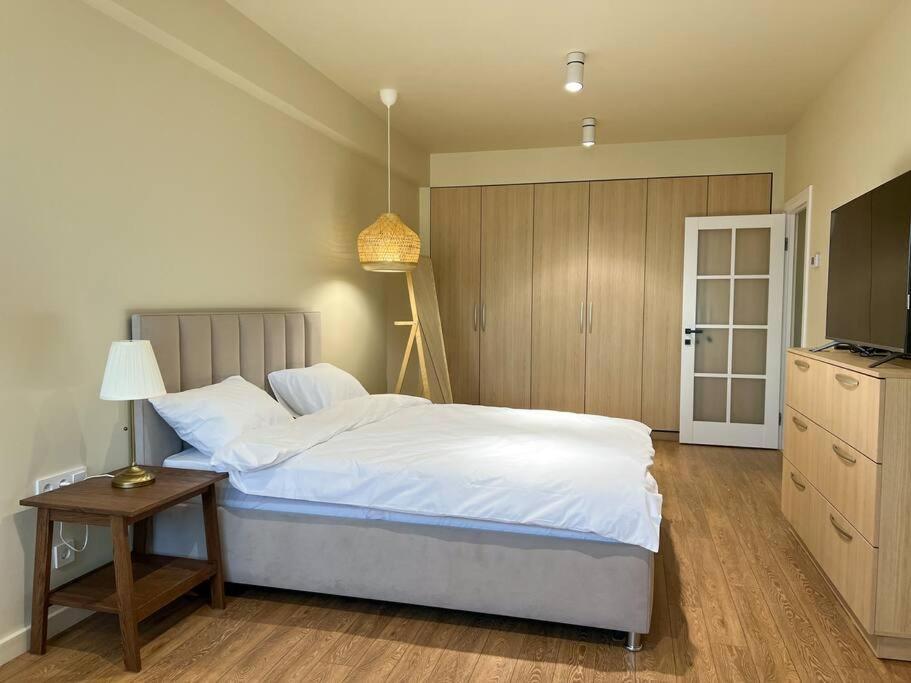 2 Bedroom On Ismail Corner Stefan Cel Mare, New Apartment, Chisinau Center! Εξωτερικό φωτογραφία